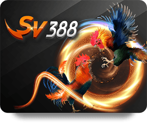 เคล็ดลับการเข้าใช้งาน LSM99 เข้าสู่ระบบ ที่ดีที่สุด